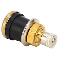 Kit 20 Hastes de Válvula de Pneu para Caminhão e RVs - Cobre 8" Sem Câmara 0.625" - imagem 3