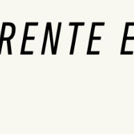 Camiseta Feminina Oversized Estampa Pantera – 100% Algodão e Estilo - imagem 1