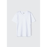 Camiseta Infantil Menino Flamê: Conforto e Estilo Hering Kids - imagem 1