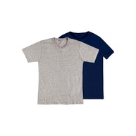 Camisetas Hering Masculinas: Kit 2 Peças Conforto Total - imagem 1