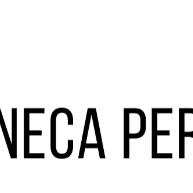 Canecas Personalizadas: 12x Sua Logo ou Foto! - imagem 1