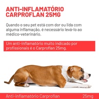 Carproflan 25mg: Alívio da Dor Para Seu Cão - imagem 2