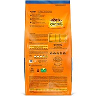 Ração Special Dog Carne: Nutrição Premium para Seu Cão! - imagem 2
