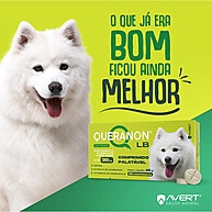 Queranon LB: Pelagem Radiante para Seu Cão! - imagem 2