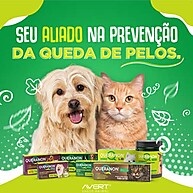 cao-seu-para-radiante-pelagem-queranon-avert
