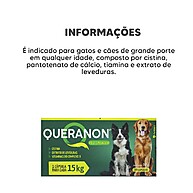 Queranon: Pele e Pelagem Saudáveis para Seu Cão - imagem 2