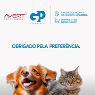 Glicopet Caninus: Apetite e Saúde para seu Cão - imagem 2