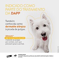 Advocate Antipulgas: Proteja Seu Cão! - imagem 2