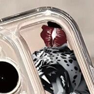 Capinha Animal Print Anti-Choque para iPhone 11 a 16 Pro Max - imagem 1