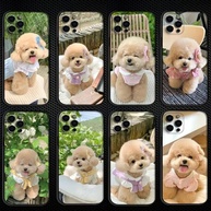 Capinha Fofa Ursinho para iPhone - imagem 1