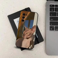 Capinha Gato Sphynx: Proteção e Estilo! - imagem 4