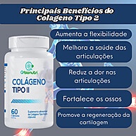 Colágeno Tipo 2 500mg – Kit com 3 Potes de 60 Cápsulas - imagem 1