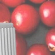 Kit 3x Cranberry 500mg Gecap: Saúde Urinária e Imunidade em Cápsulas - imagem 1