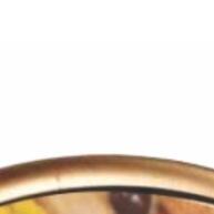 Gold Mix Reino Das Aves: Energia Pura p/ Galo de Campina e Cardeal! - imagem 2