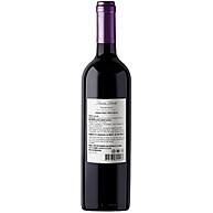 carmenere-loreto-750ml-santa-sabor-premium-chileno