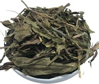 Carqueja doce 500Gr (Erva desidratada) - imagem 1