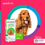 Bravecto Transdermal: Proteção Total Contra Pulgas e Carrapatos - imagem 2