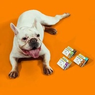 Simparic 80mg: Proteja Seu Cão de Pulgas e Carrapatos - imagem 2