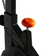 Spinning Gallant Trainer: Treine em Casa! - imagem 2