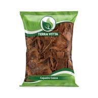 Casca de Cajueiro: Poder Natural para sua Pele - imagem 1