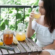 Scoby Kombucha Compre 2 Ganhe 1! - Original Fermentação Natural Chá Vivo Caseiro - imagem 3