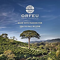 Café Orfeu Catucaí Grãos 100% Arabica 250g - imagem 4