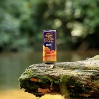 cerveja-sem-golden-lata-310ml-alcool-etapp