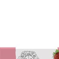 Chá Leão Frutas e Flores: 100 Sachês de Puro Sabor! - imagem 1
