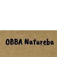 Chá Moringa: 3x Mais Saúde Pura! - imagem 1