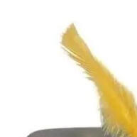 chapeu-gato-de-botas-acessorio-mosqueteiro-adulto