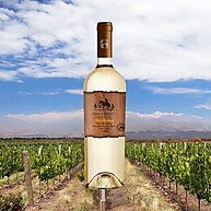 chardonnay-elegancia-750ml-batuco-e-chileno-sierra-frescor