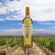 Chilano Vinho Chardonnay 750Ml - imagem 4
