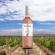 Chilano Vinho Chileno Rose Pink Moscato 750Ml - imagem 3