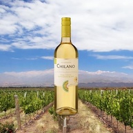 Chilano Vinho Chileno Branco Sauvignon Blanc 750Ml - imagem 4