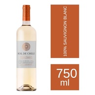 Vinho Branco Chileno Sol de Chile Varietal Sauvignon Blanc 750ml - imagem 3