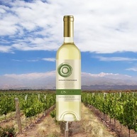 Vinho Chileno Luna Vista Estate Vineyards Sauvignon Blanc 750ml - imagem 3