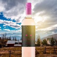 Vinho Chileno Picarón Rose 750ml - imagem 3