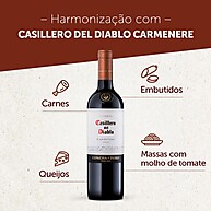 Carménère Casillero del Diablo: Descubra o Sabor Chileno! - imagem 2