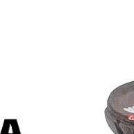 Chinelo Infantil Masculino 2 Pares Antiderrapante Confortável – Ideal para Meninos Ativos! - imagem 1
