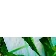 Kit Bebê Essencial: Porta Chupeta + Saboneteira + Chupeta - imagem 2