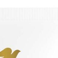 Dove Sérum Corporal: Hidratação Potente com 5 Ativos Científicos - imagem 2