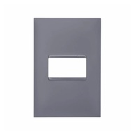 Placa Acabamento Pialplus: 4x2, 1 Posto Cinza - imagem 2