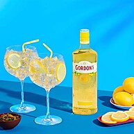 citrica-gin-refrescancia-gordons-700ml-limao-siciliano