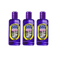 Coala Lavanda: Limpeza e Aroma Incrível! - imagem 1