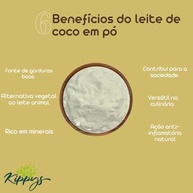 Leite de coco em pó vegano - 250g - imagem 5