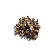 Funghi Seco (Cogumelo) - Granel 100g (11) - imagem 2