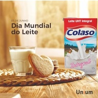 LEITE UHT INTEGRAL COLASO, 3% de Gordura, 1L - KIT COM 3 UNIDADES - - imagem 4