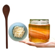 Scoby Kombucha Original Fermentação Caseira + Colher de Pau + Kefir de Leite - imagem 2