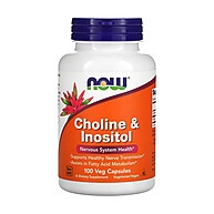 Colina e Inositol: Saúde Cerebral e Bem-Estar - imagem 1