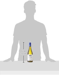collection-casas-bosque-750ml-branco-del-chardonnay-chileno-vinho